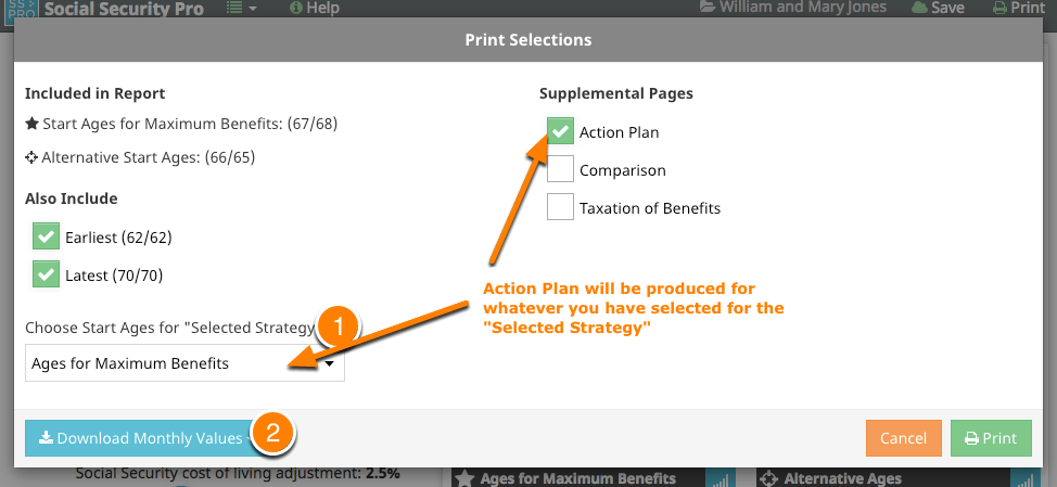 Print Options